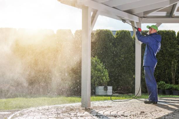 Best Driveway Pressure Washing  in Minden, LA